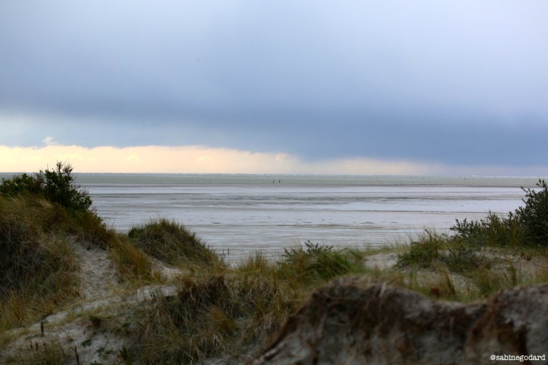 Baie de Somme, vue depuis les dunes du Crotoy